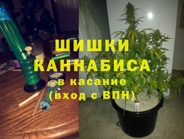 ГАЛЛЮЦИНОГЕННЫЕ ГРИБЫ Горняк