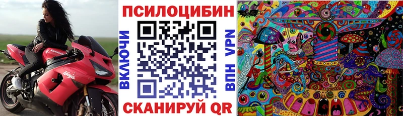 Псилоцибиновые грибы GOLDEN TEACHER купить наркотики сайты Элиста