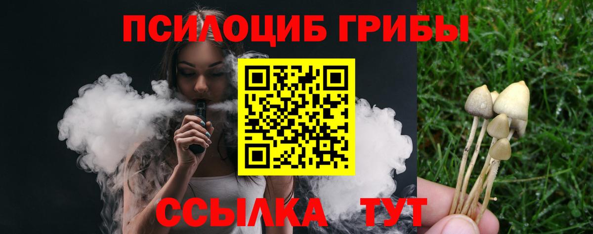 Галлюциногенные грибы мицелий  Вход с VPN  Элиста 