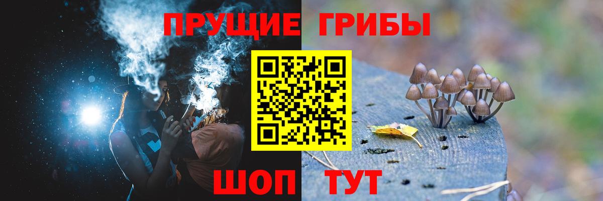 Псилоцибиновые грибы мицелий Элиста