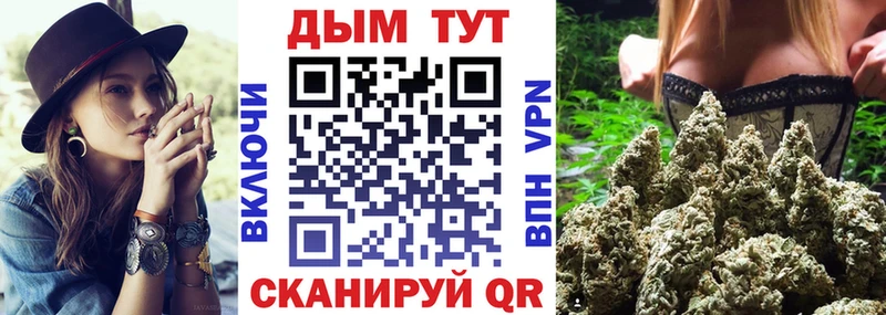 Каннабис THC 21%  где найти   Элиста 