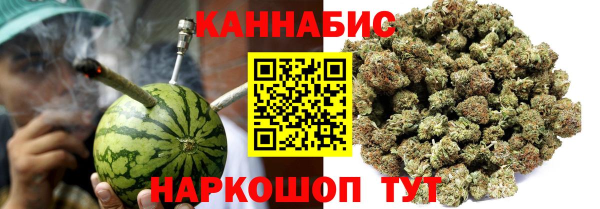 Бошки Шишки конопля  Бошки Шишки конопля  Элиста  Бошки марихуана планчик  Вход с VPN 